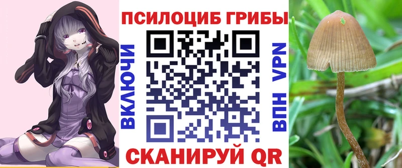 Псилоцибиновые грибы мухоморы  магазин    Братск 