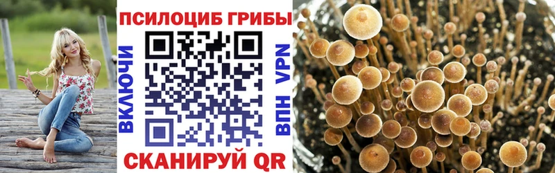 Галлюциногенные грибы GOLDEN TEACHER Братск